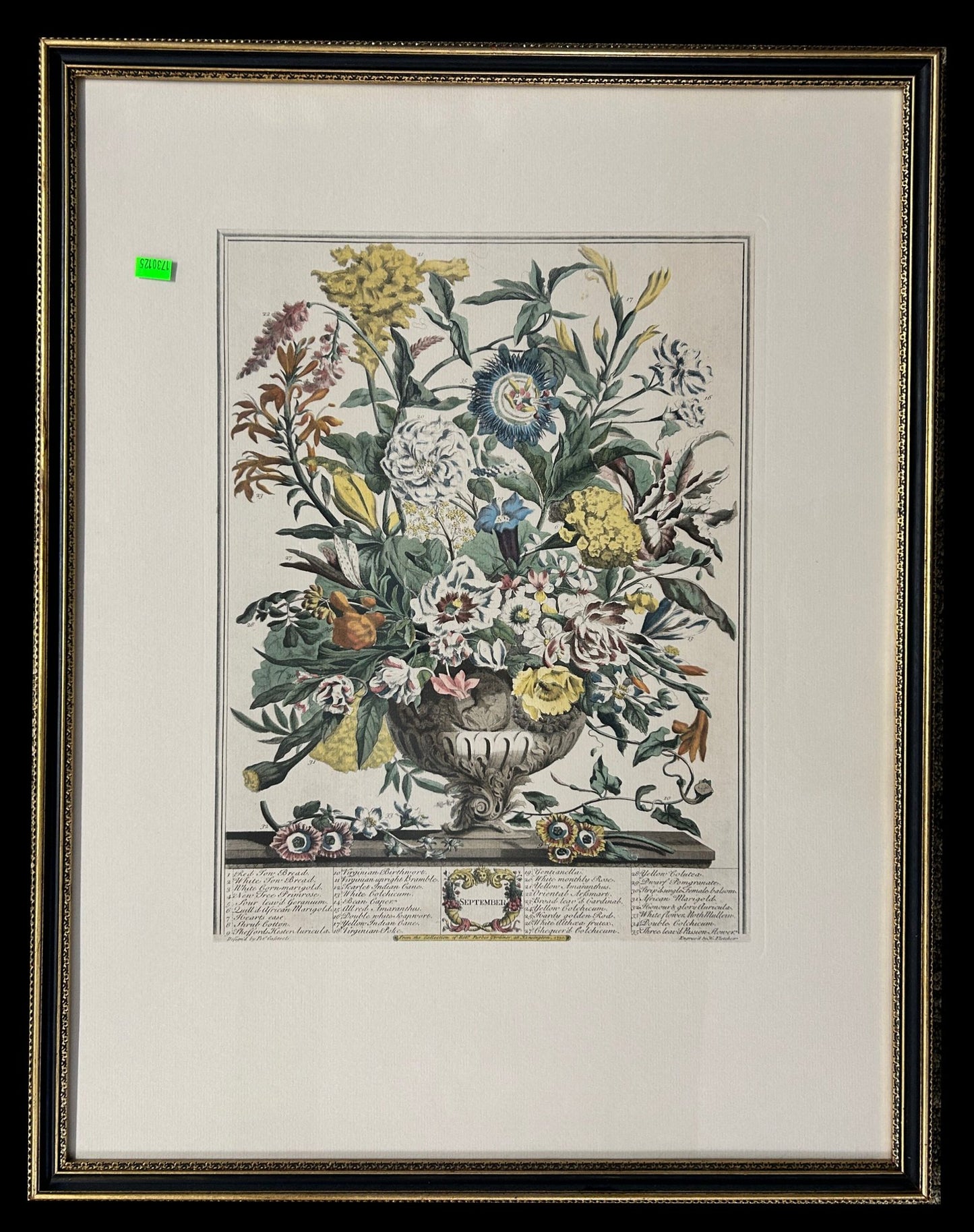 250219-24 Framed Robert Furbers Twelve Months of Flowers