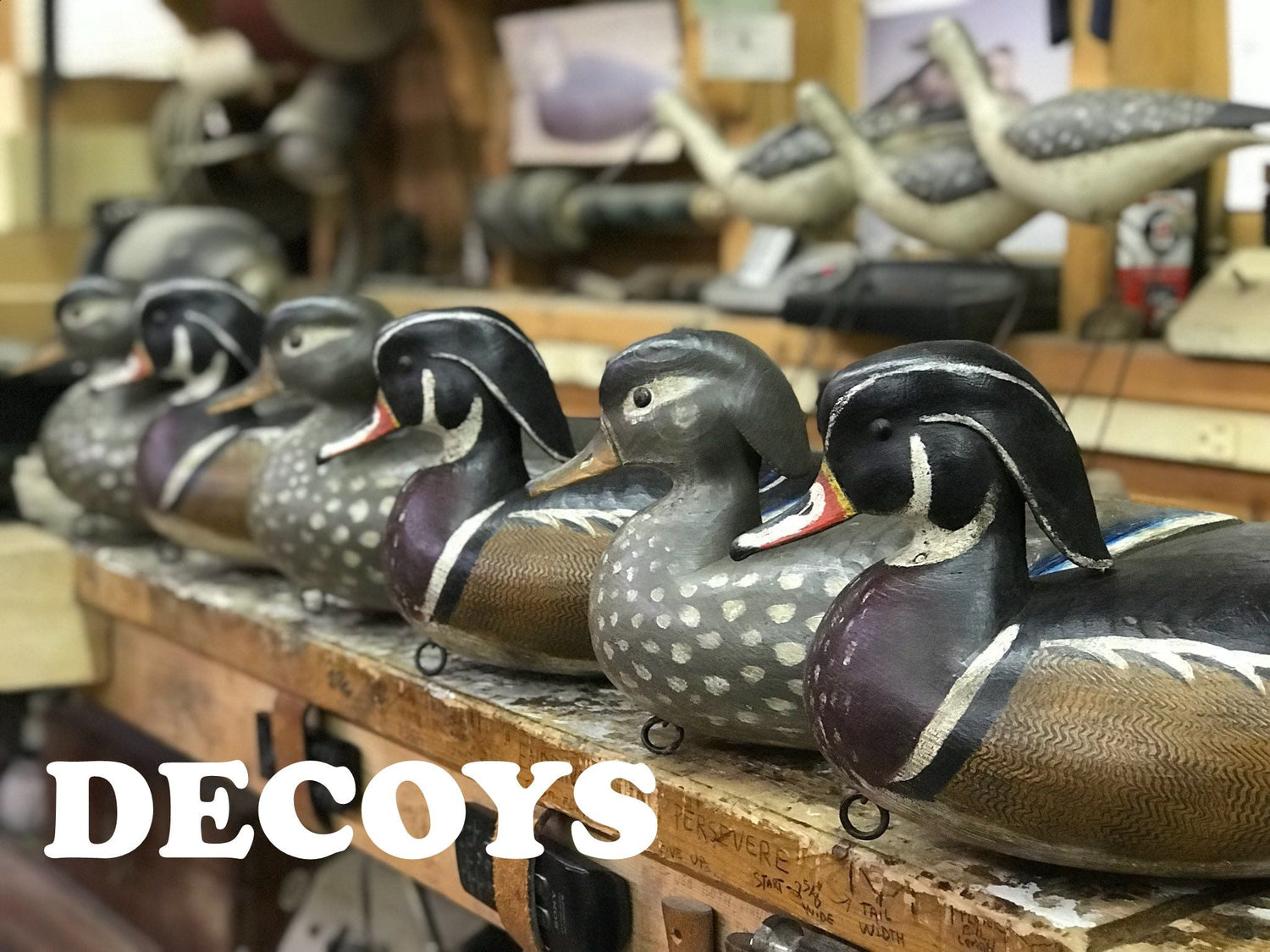 Decoys
