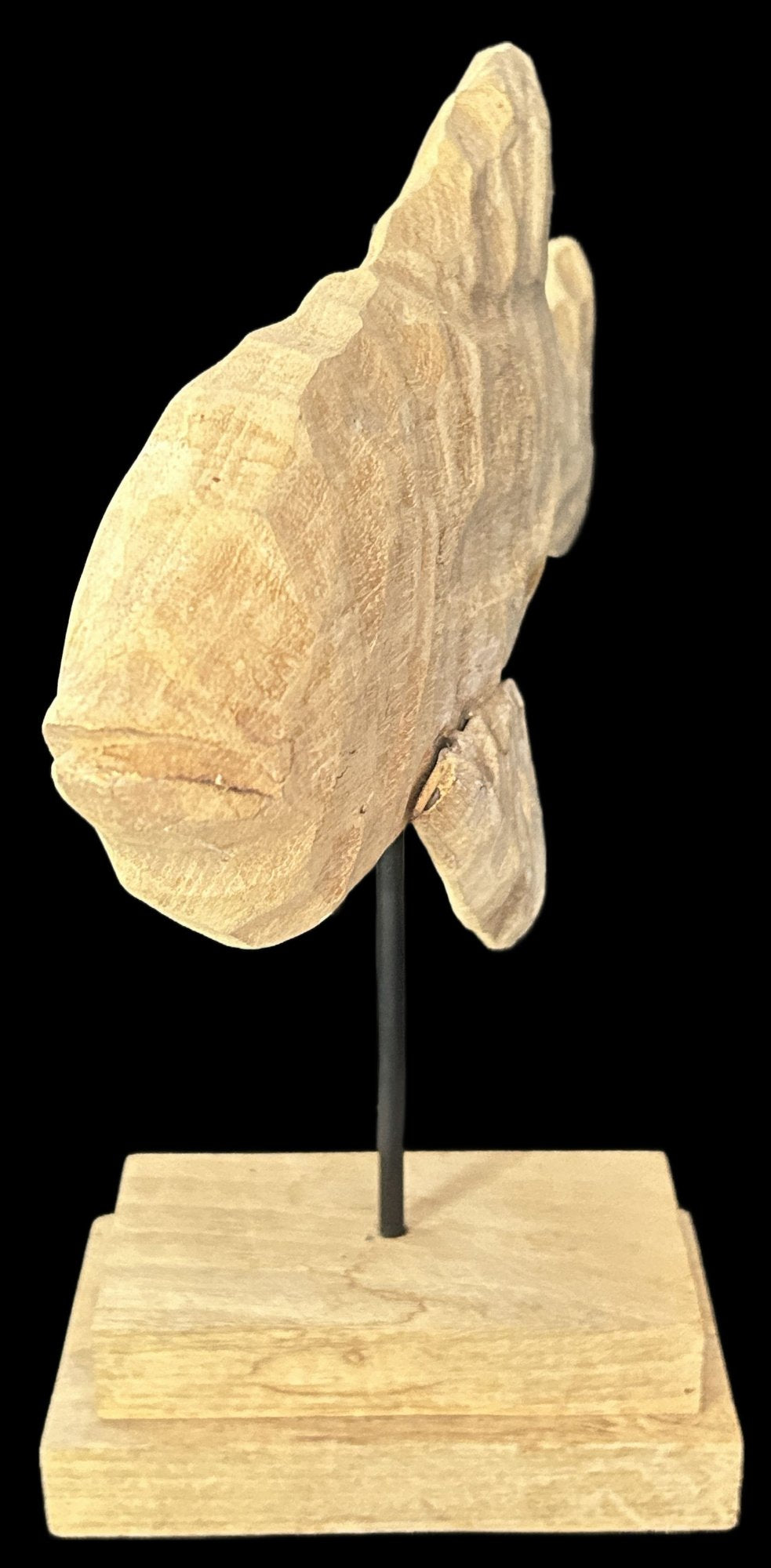 260520-5 Carved Wooden Fish Sculpture on Matching Stand