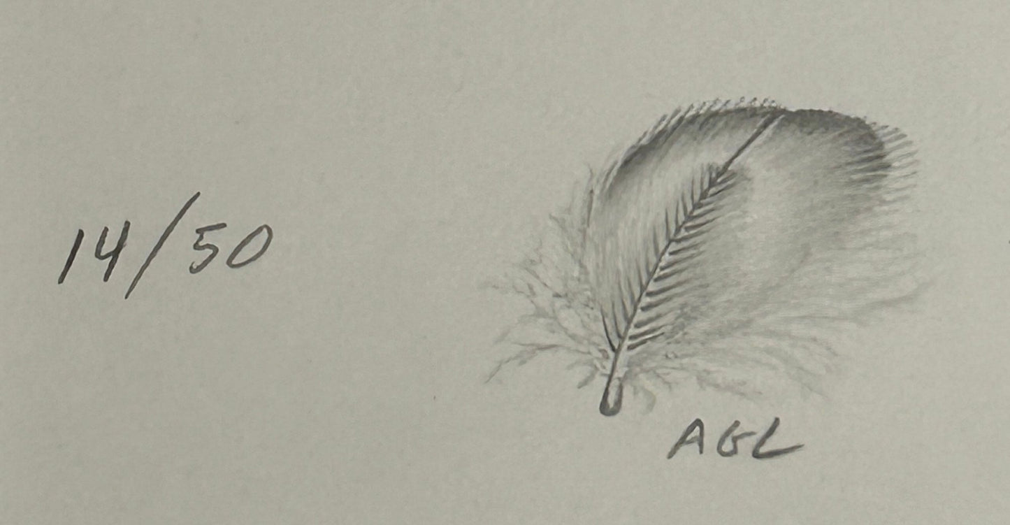 250806-2 August Marsh Ltd Ed 14/50