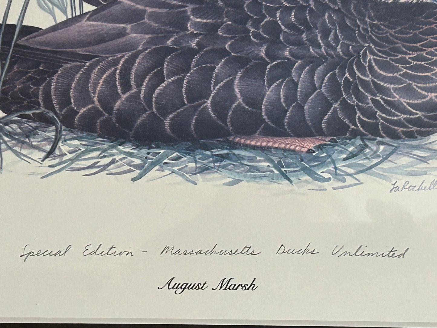 250806-2 August Marsh Ltd Ed 14/50