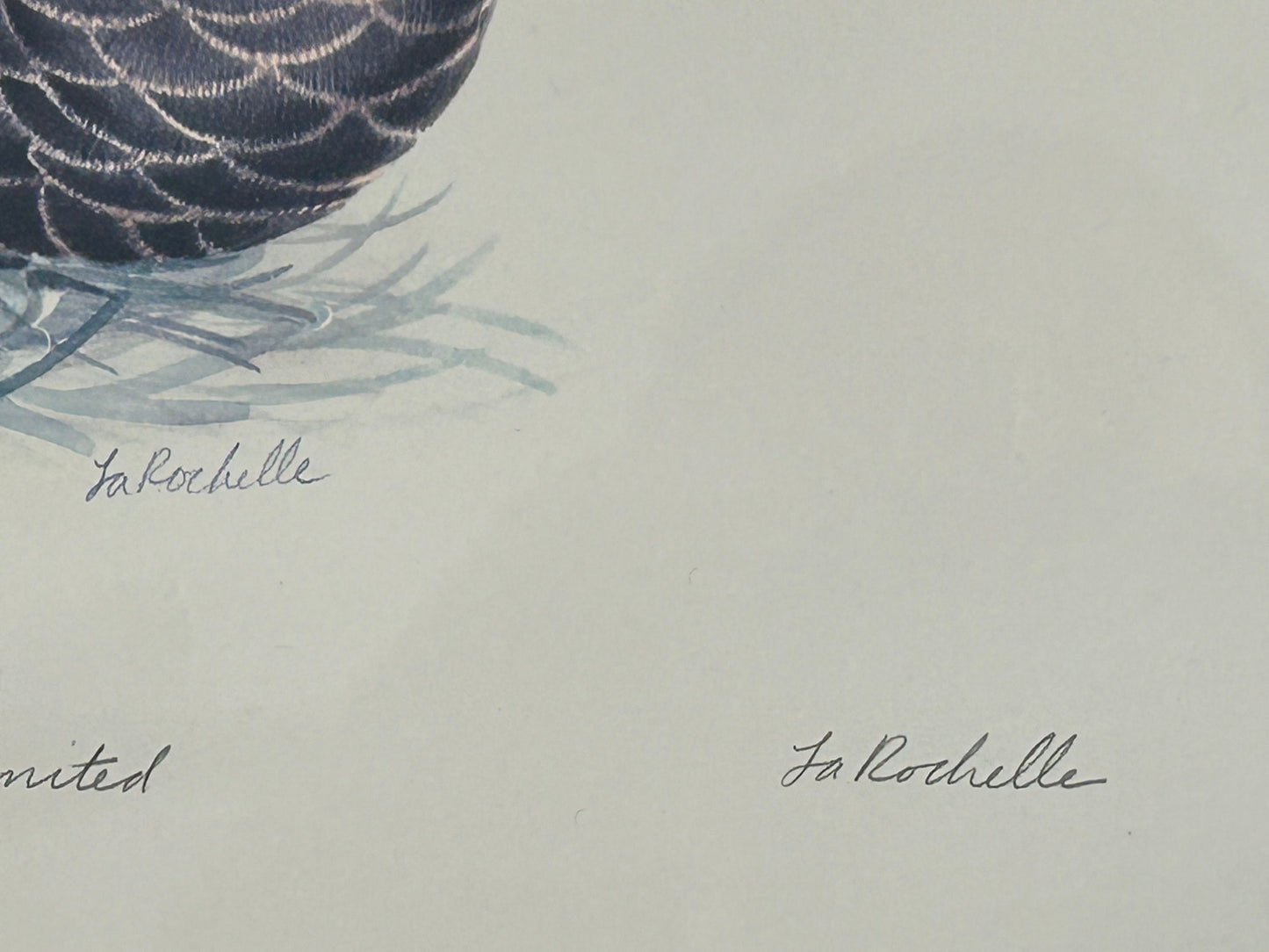 250806-2 August Marsh Ltd Ed 14/50