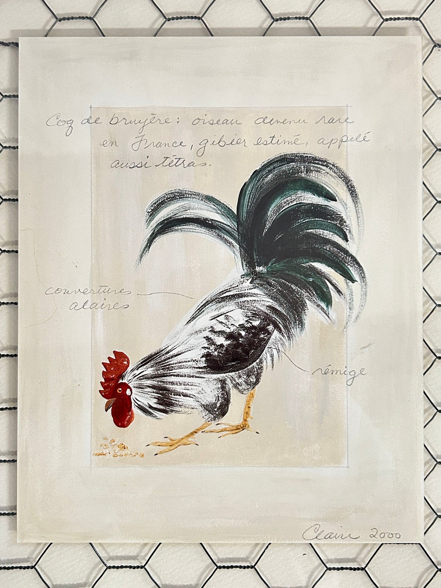 250806-4 Framed Rooster & Chicken Wire Print