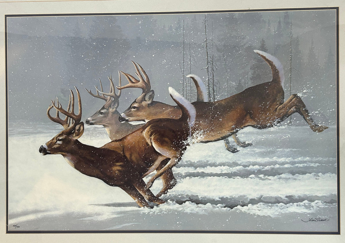 260916-1 Framed "Once In A Lifetime" Print