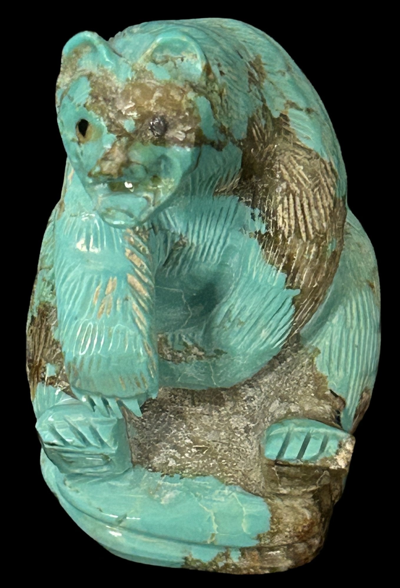 260610-2 Zuni Carved Turquoise Boulder Bear