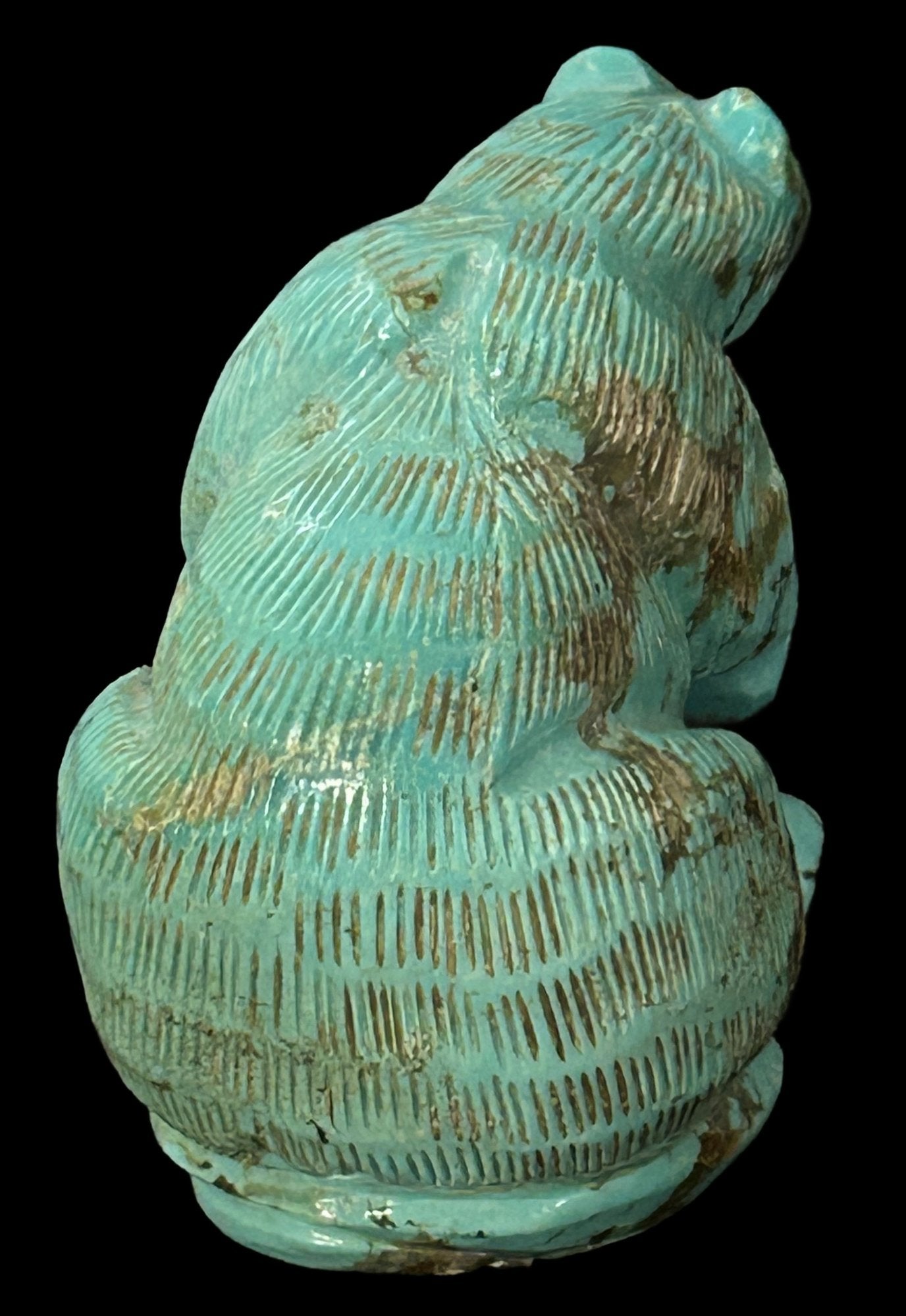 260610-2 Zuni Carved Turquoise Boulder Bear
