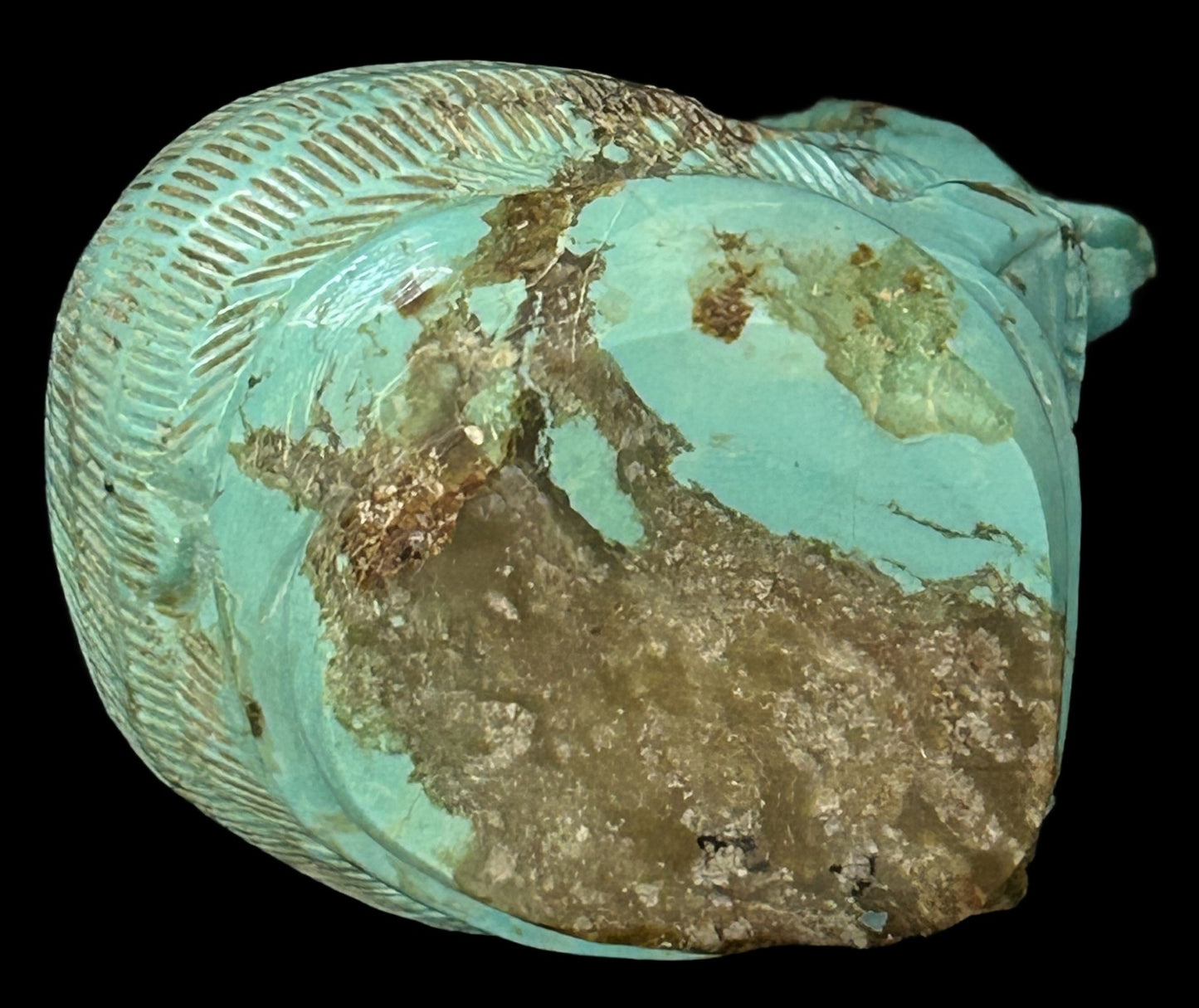 260610-2 Zuni Carved Turquoise Boulder Bear