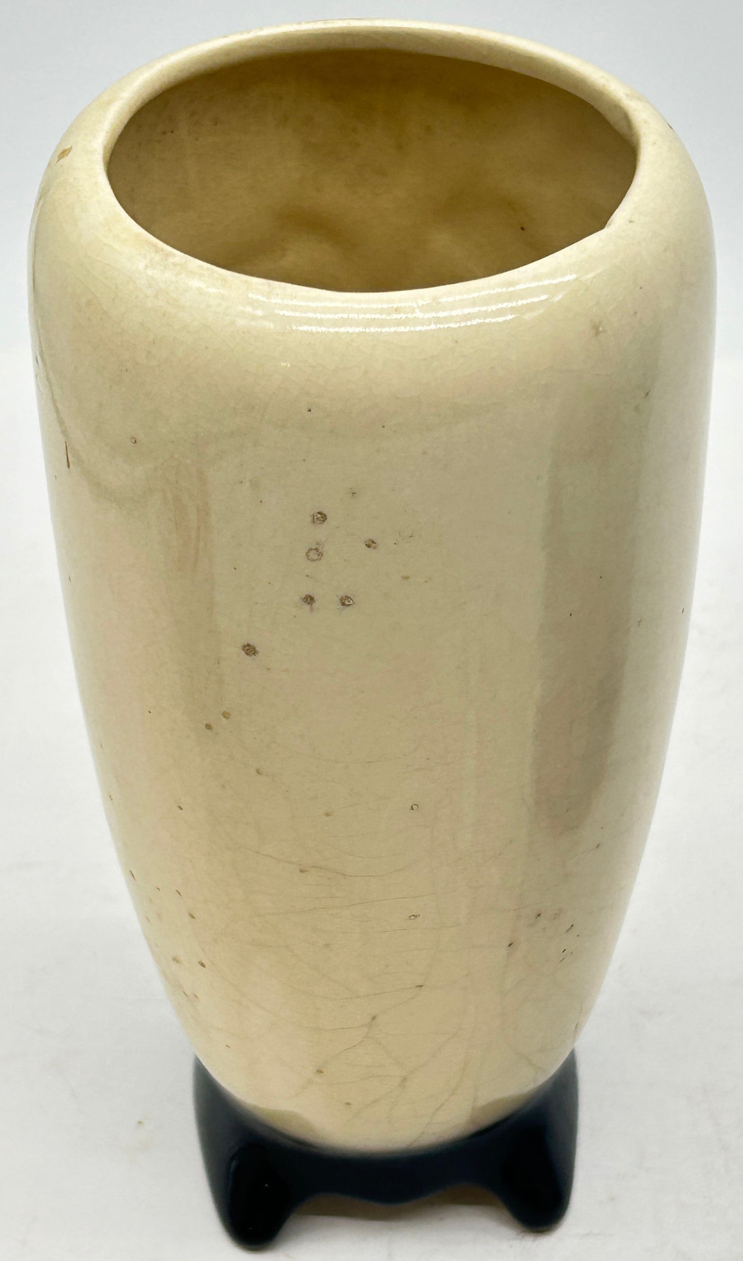 250514-23A Vintage Royal Copley Vase With Green Ivy