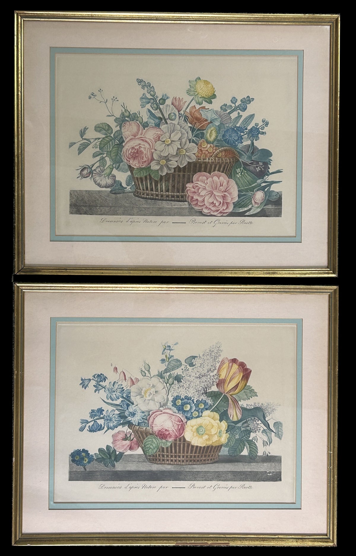 260916-2 Pair Prevost Botanical Prints