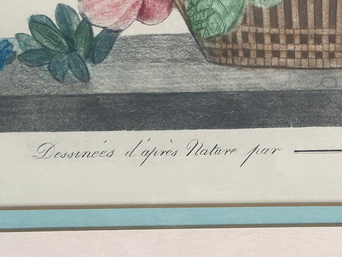 260916-2 Pair Prevost Botanical Prints
