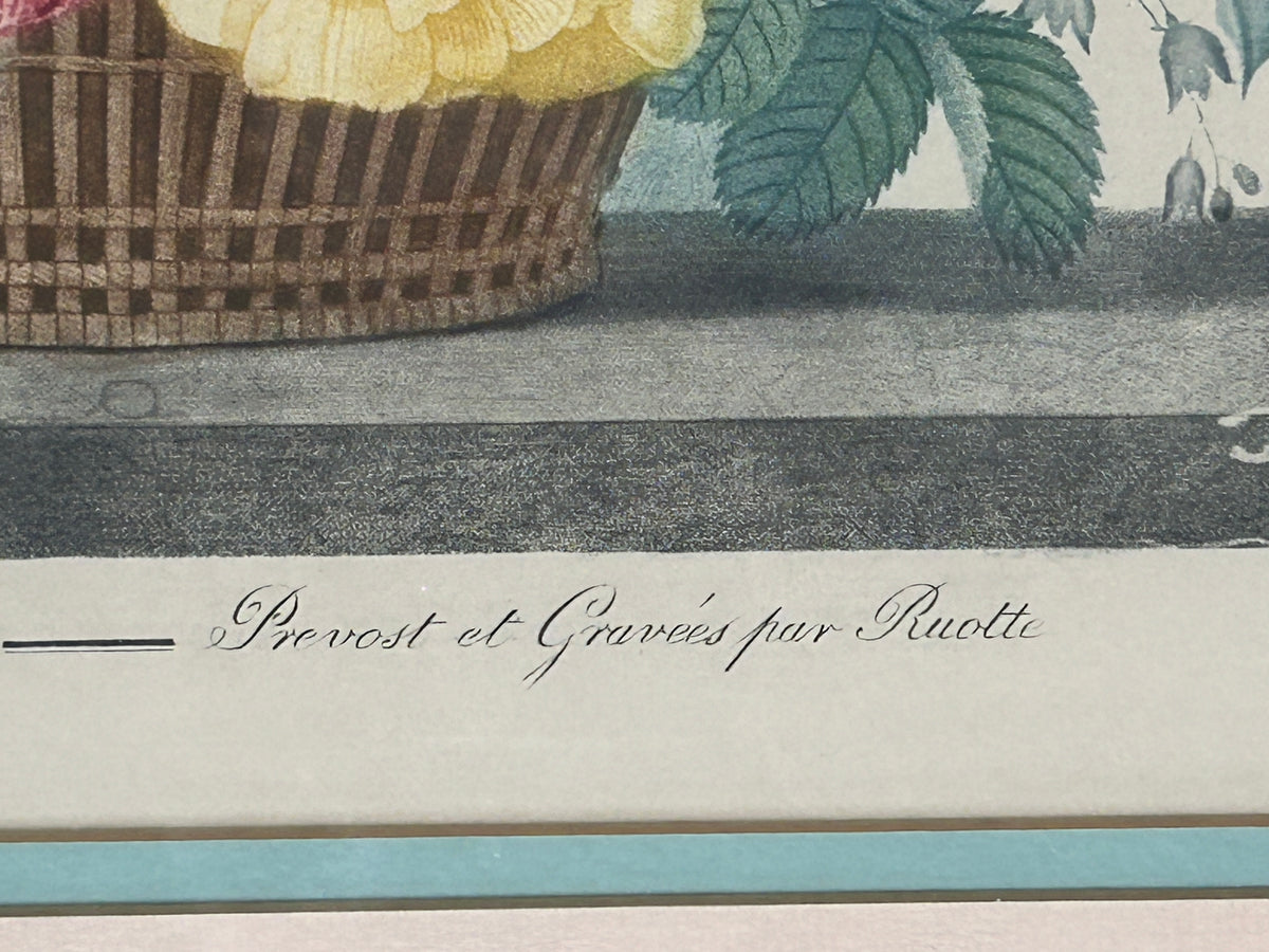 260916-2 Pair Prevost Botanical Prints