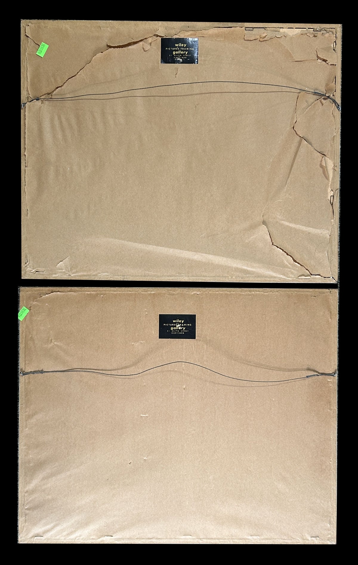 260916-2 Pair Prevost Botanical Prints