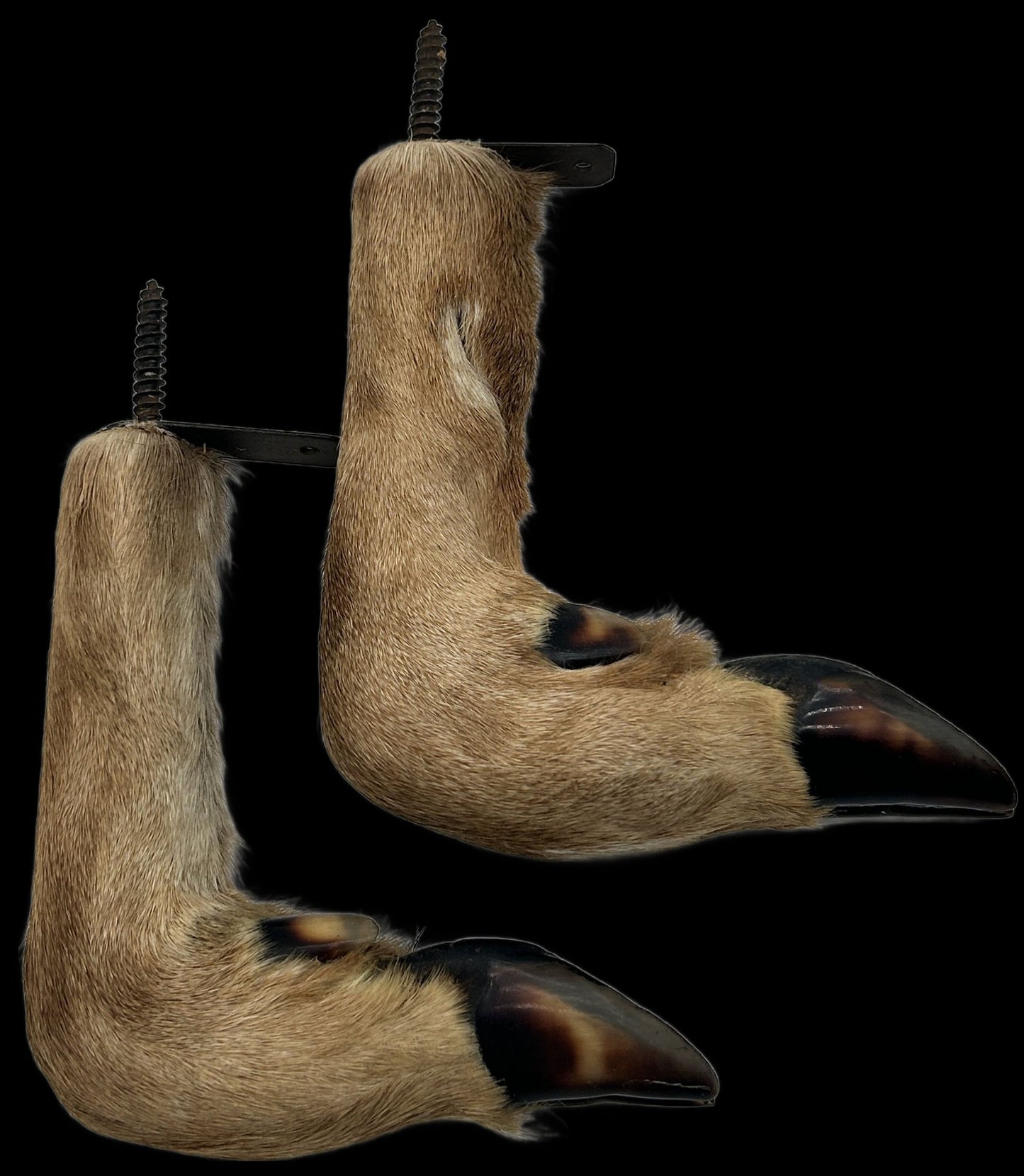 250827-23 4-Deer Leg Gun Supports