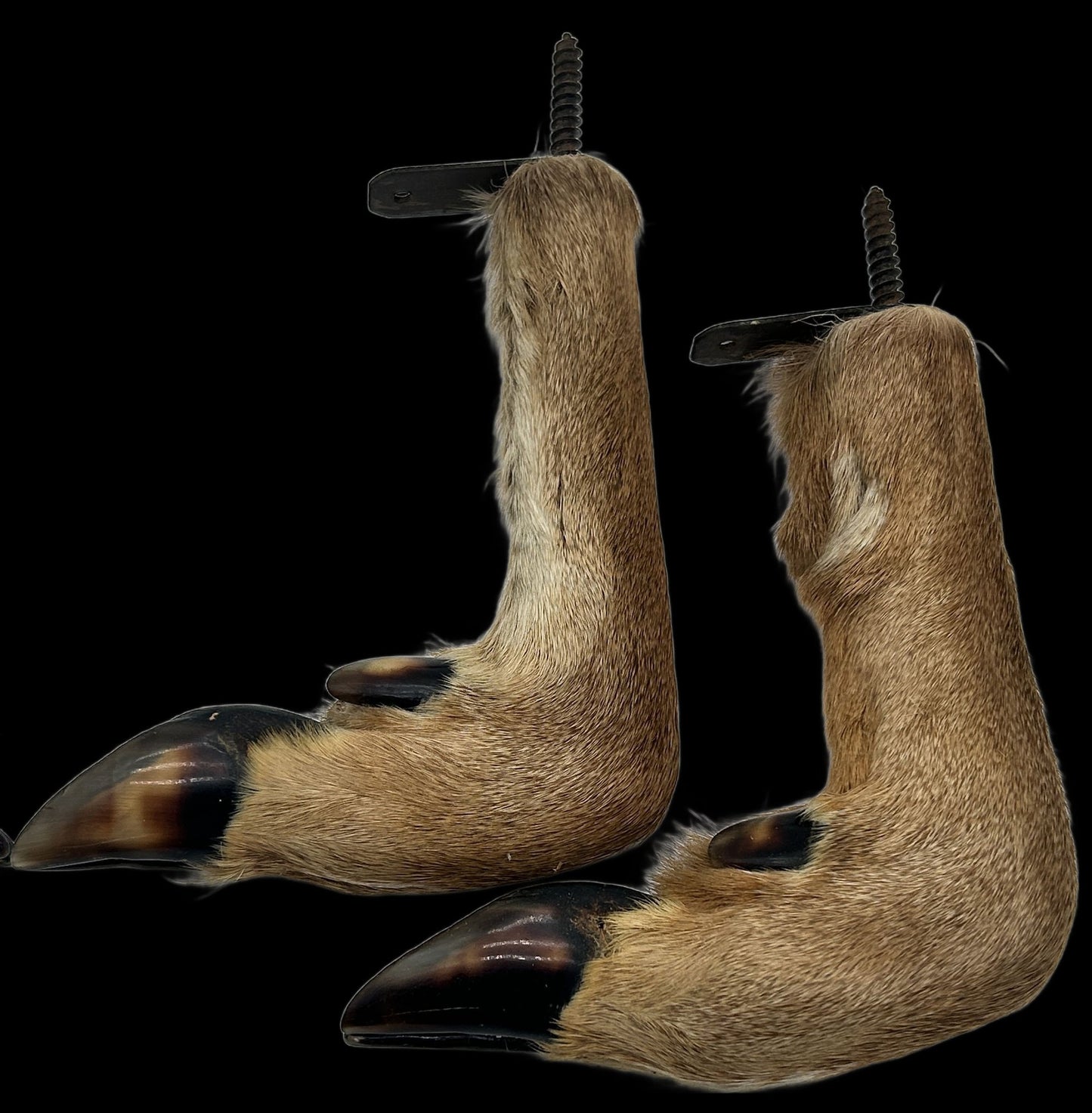 250827-23 4-Deer Leg Gun Supports