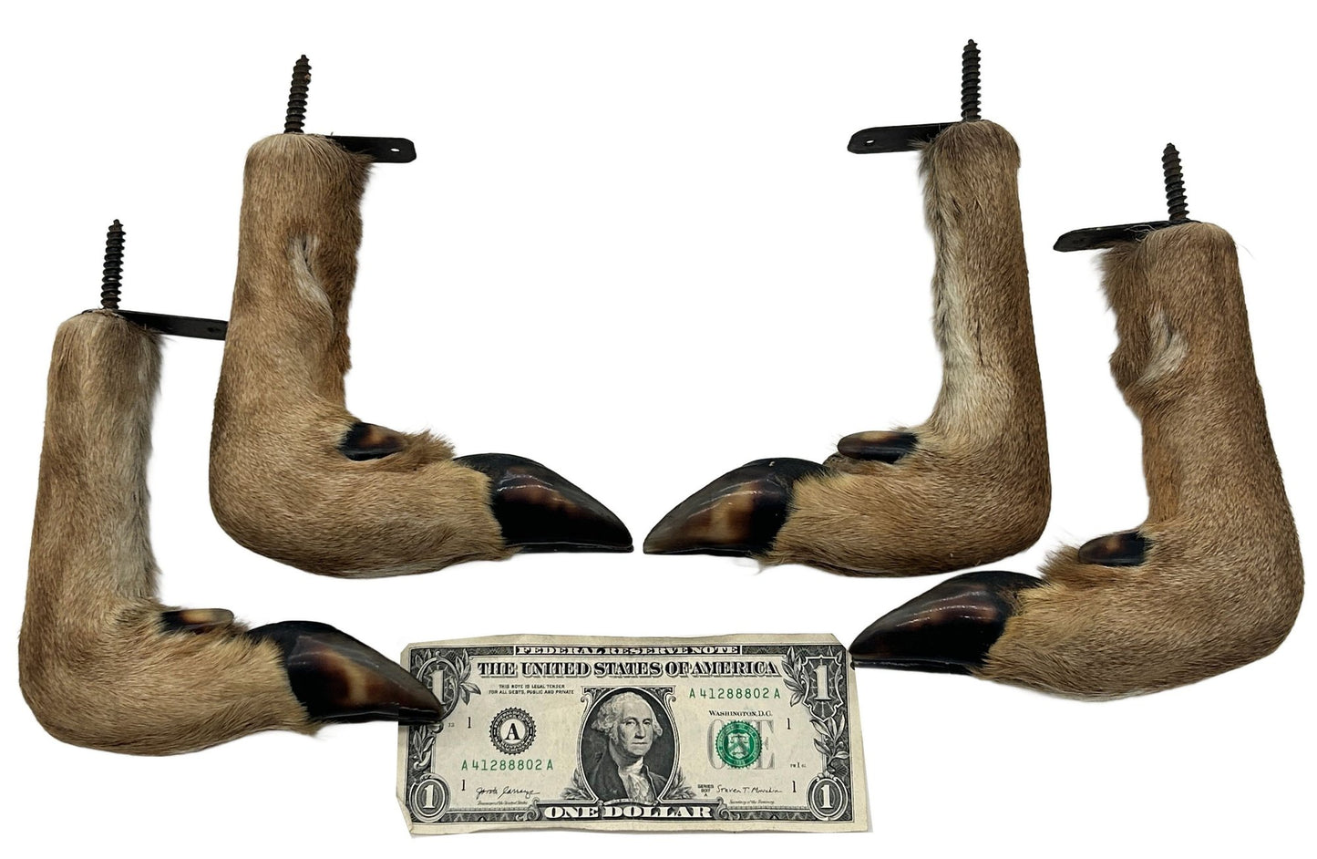 250827-23 4-Deer Leg Gun Supports