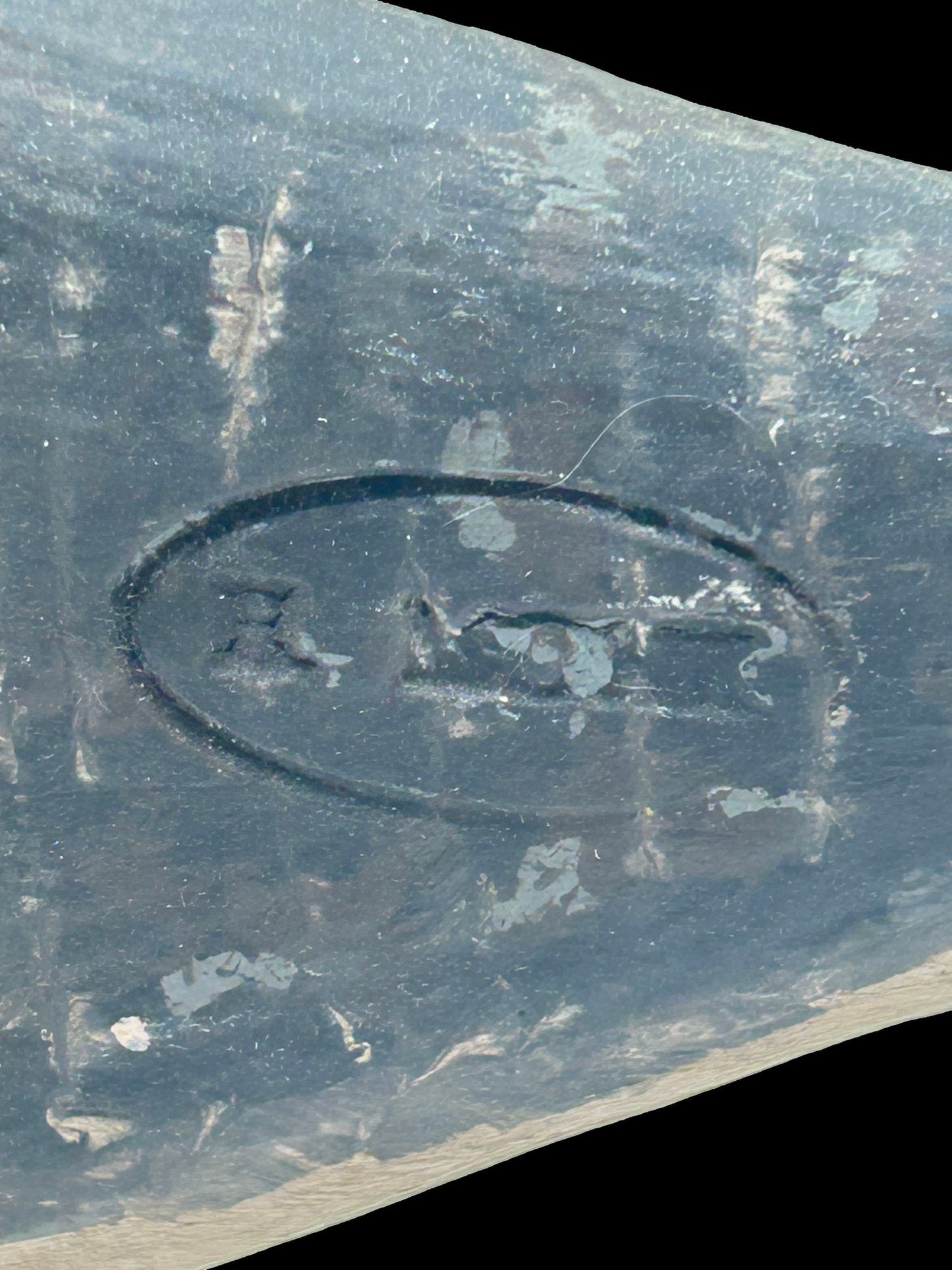 260408-8 Signed Harry Monk Carved Shore Bird