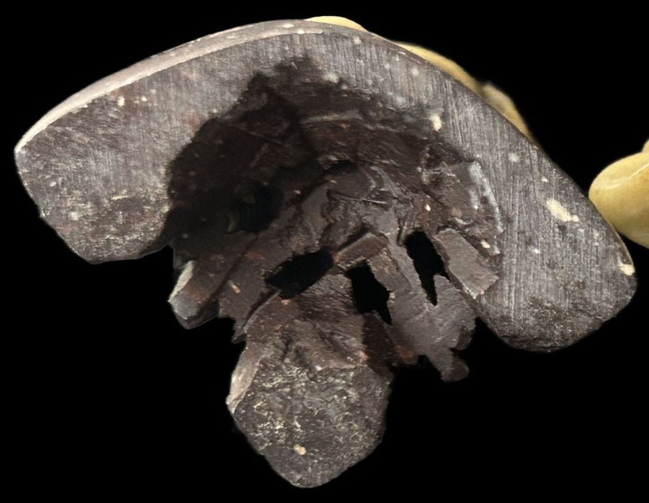 260107-3A Chinese Soapstone Fisherman 5"H Figurine