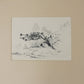 ORIGINAL Pen & Ink Artwork By A. B. Frost