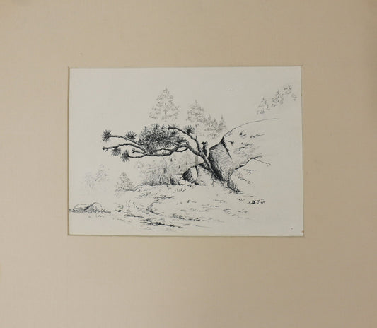 ORIGINAL Pen & Ink Artwork By A. B. Frost