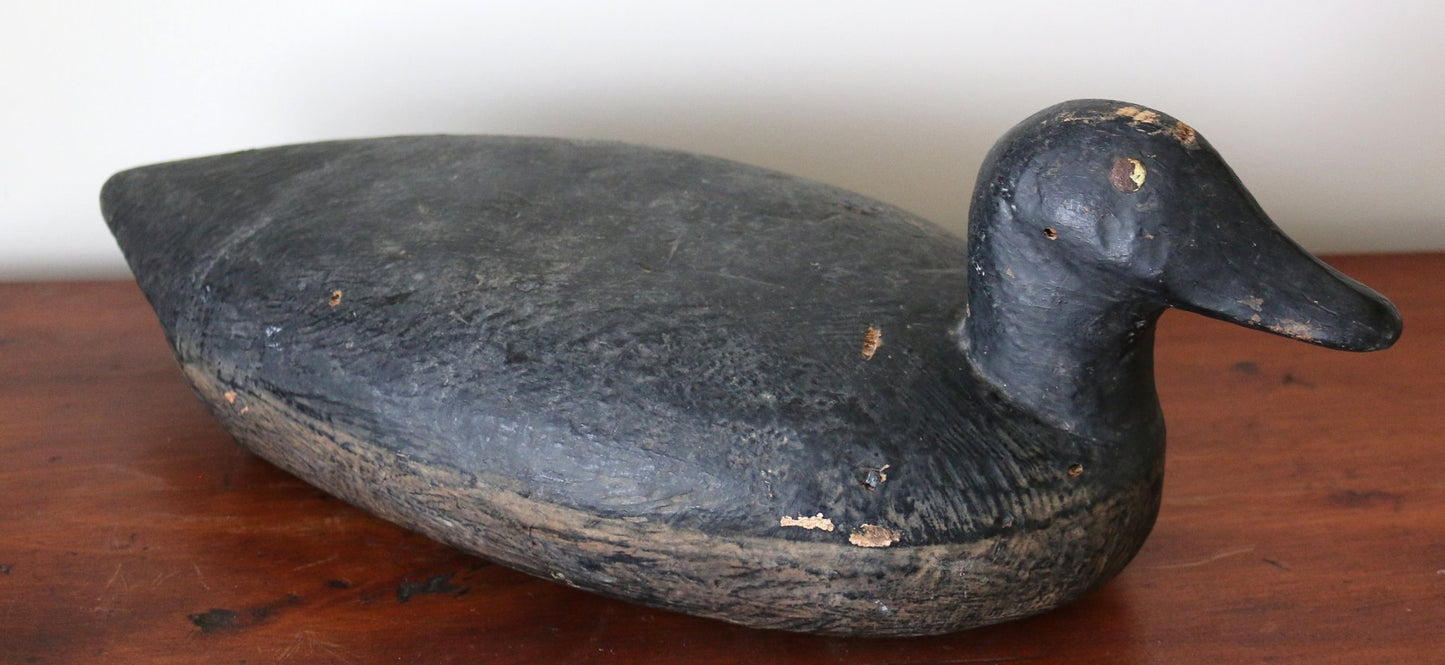 250529-39 Vintage Black Scoter Duck Decoy